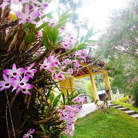 Casa Com Flores Педра-Азул Экстерьер фото